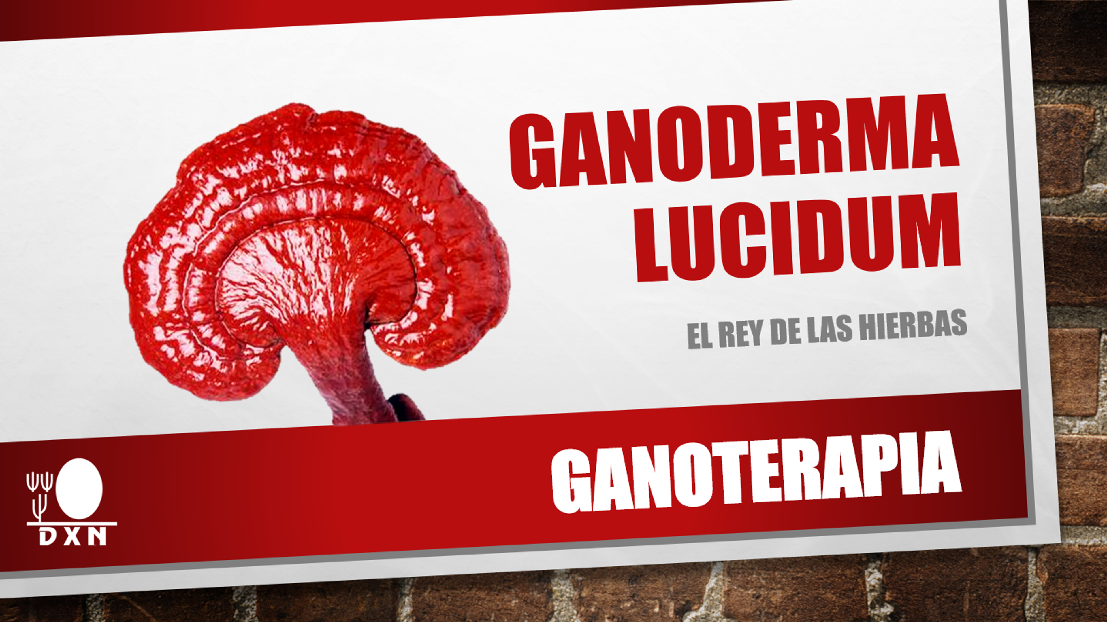 Ganoterapia